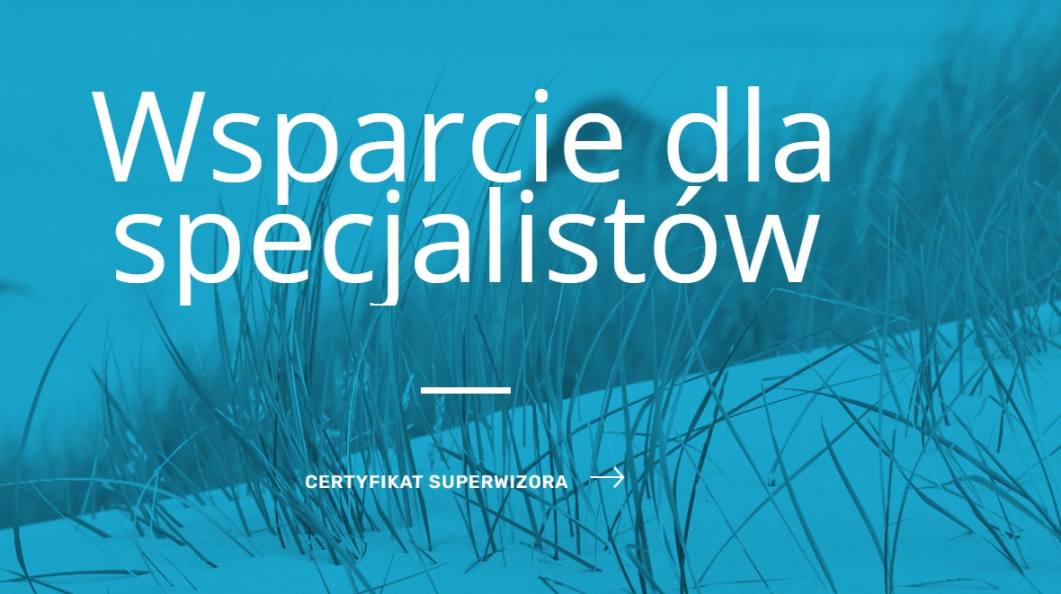 Superwizja